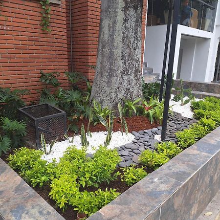 Hotel Suramericana Medellín Exterior foto