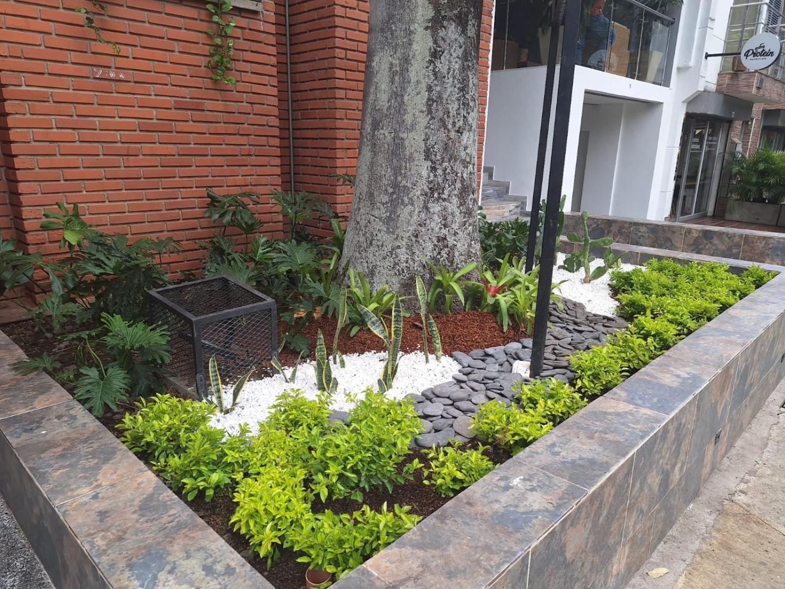 Hotel Suramericana Medellín Exterior foto